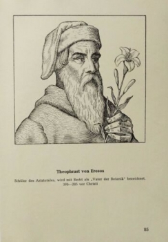 1959 - Theophrast von Eresos, alter Druck